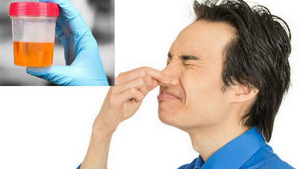 Food and Drinks That Make Your Urine Smell