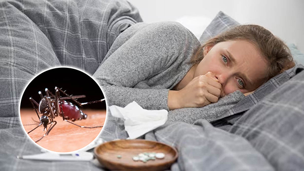 Home Remedies For Dengue