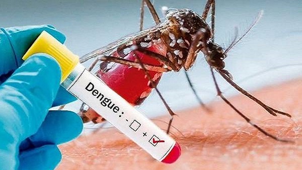 Dengue Fever