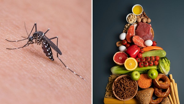 foods for dengue