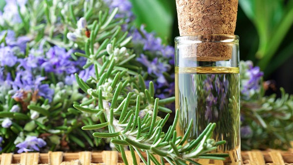 lavender Oil For Hair
