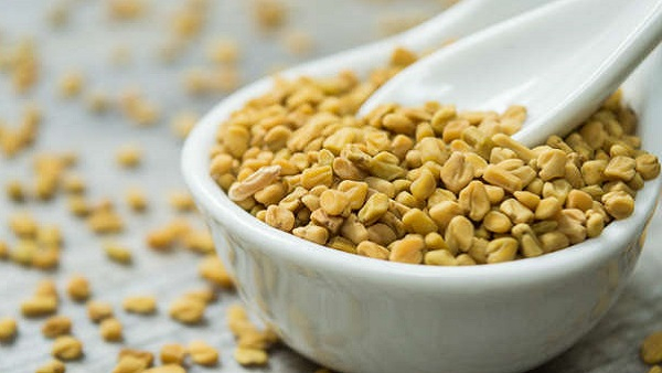 uses of fenugreek uses of fenugreek