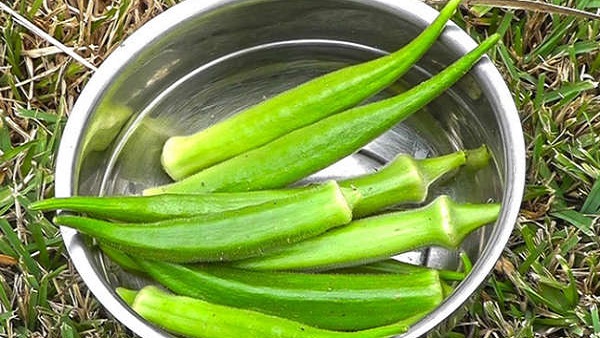 Okra 
