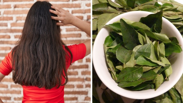 curry leaves hair oil