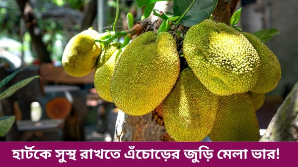 jackfruit