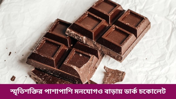 Dark Chocolate Dark Chocolate