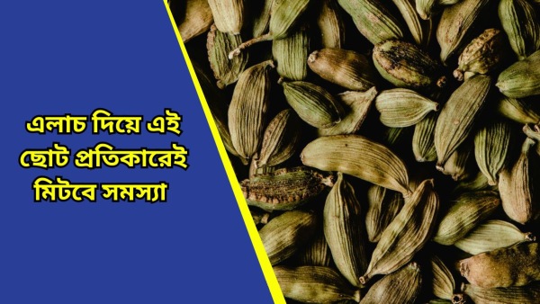 Cardamom Cardamom
