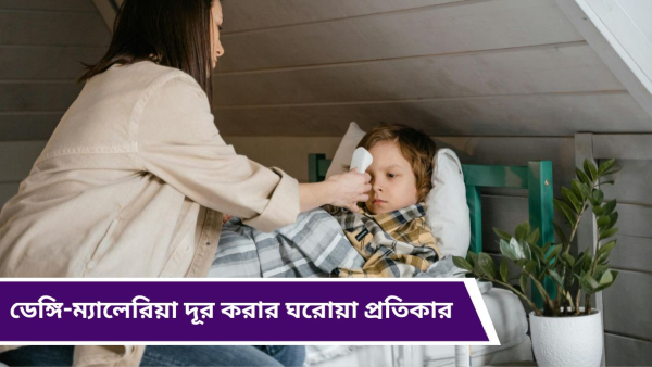 dengue dengue