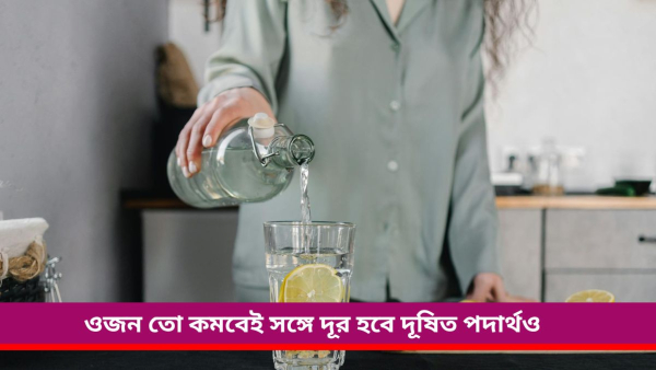 Lemon and Ginger drink Lemon and Ginger drink