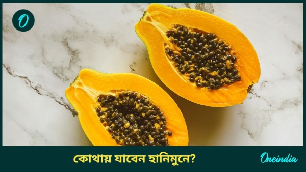 papaya halwa papaya halwa