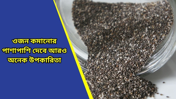 chia seed chia seed