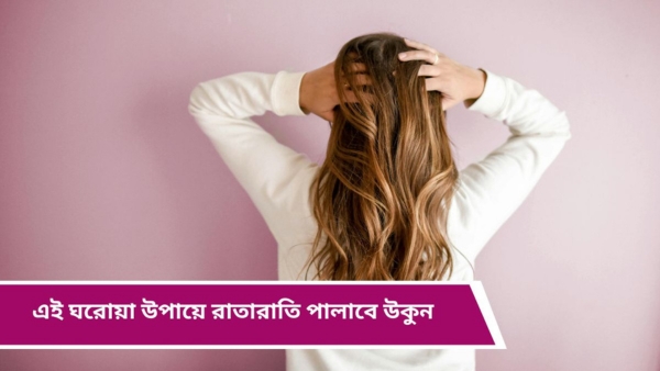 Home remedies for lice