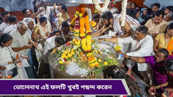 shiva shiva