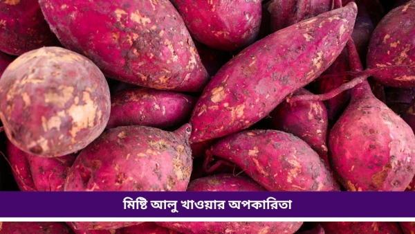 sweet potato sweet potato