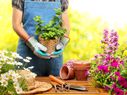 Gardening Tips For Spring Season