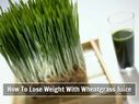 How Wheatgrass Juice Helps You To Lose Weight; Know The Preparation Method