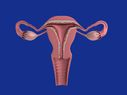 Hysterectomy: Purpose, Procedure, Risks And Recovery