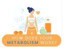 Nutritionist Speaks On What Is Metabolism And How Does It Work?