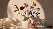 Birth Flower by Month: Meanings, Symbolism, and Origins