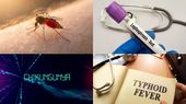 10 Monsoon Diseases To Watch Out For And How To Prevent Them