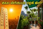 ಬಿಸಿಲ ಬೇಗೆಯಿಂದ ಮನೆ ಮತ್ತು ಗಿಡಗಳನ್ನು ರಕ್ಷಿಸುವುದು ಹೇಗೆ? ತಾಪಮಾನ ಏರಿಕೆಯ ನಡುವೆ ಈ ಟಿಪ್ಸ್ ಮಿಸ್ ಮಾಡ್ಬೇಡಿ!
