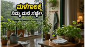 ಮಳೆಗಾಲ ಶುರು: ನಿಮ್ಮ ಮನೆ ಮತ್ತು ಗಿಡಗಳನ್ನು ಸುರಕ್ಷಿತವಾಗಿಡಲು ಈ 5 ಸಿಂಪಲ್ ಟಿಪ್ಸ್