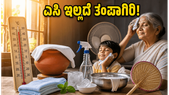 ಉತ್ತರ ಪ್ರದೇಶದಲ್ಲಿ ಬಿಸಿಲ ಬೇಗೆ: ಎಸಿ ಇಲ್ಲದೆಯೂ ಮನೆಯನ್ನು ತಂಪಾಗಿಡಲು ಈ ಸರಳ ಟಿಪ್ಸ್ ಮಿಸ್ ಮಾಡ್ಬೇಡಿ!