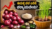 ಈರುಳ್ಳಿ ಬೆಲೆ ಏರಿಕೆ: ಅಡುಗೆಮನೆಯ ಬಜೆಟ್ ಉಳಿಸಲು ಸರಳ ಟಿಪ್ಸ್ ಮತ್ತು ಪರ್ಯಾಯಗಳು!