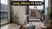 ದೆಹಲಿ ಮಳೆ: ನಿಮ್ಮ ಮನೆಯಲ್ಲಿ ಬೂಷ್ಟು ಮತ್ತು ತೇವಾಂಶ ತಡೆಯಲು 45 ನಿಮಿಷದ ಸಿಂಪಲ್ ಪ್ಲಾನ್!