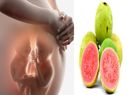 கர்ப்பகாலத்தில் பெண்கள் கொய்யாப் பழம் சாப்பிடலாமா ? 