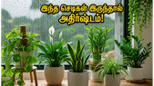மழைக்காலத்தில் வீட்டில் இந்த செடிகளை வளர்த்தால்… அதிர்ஷ்டமும் பணமும் தேடி வரும்!