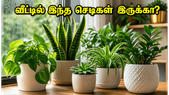 வெயில் மற்றும் மழையால் வீட்டில் புழுக்கமா? இந்த 4 வாஸ்து செடிகள் இருந்தால் குளிர்ச்சியும் பணவரவும் நிச்சயம்!