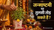 Janmashtami 2026: जन्माष्टमी पर तुलसी तोड़ सकते हैं या नहीं? जानें क्या हैं धार्मिक नियम