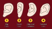 നിങ്ങളുടെ ചെവിയുടെ ആകൃതി ഇതിലേതാണ്? അതിലറിയാം നിങ്ങളില്‍ ഒളിഞ്ഞിരിക്കുന്ന പല സ്വഭാവങ്ങളും 