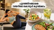 ഉഷ്ണതരംഗം ഭയക്കേണ്ട; വീട്ടിലിരുന്ന് തന്നെ വയറിലെ കൊഴുപ്പ് കുറയ്ക്കാൻ ഈ 15 മിനിറ്റ് വർക്കൗട്ട് മതി!