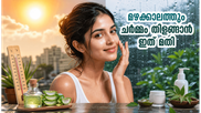 മഴക്കാലത്തെ ഈർപ്പം ചർമ്മത്തെയും മുടിയെയും നശിപ്പിക്കുന്നുണ്ടോ? തിളക്കം വീണ്ടെടുക്കാൻ ഈ ലളിതമായ പൊടിക്കൈകൾ പരീക്ഷിക്കൂ