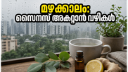 ഡൽഹിയിൽ മഴയെത്തി: സൈനസ്, തൊണ്ടവേദന എന്നിവയെ തുരത്താൻ ഈ വീട്ടുവൈദ്യങ്ങൾ പരീക്ഷിക്കൂ!