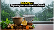 മഴക്കാലം വന്നെത്തി! രോഗങ്ങളെ അകറ്റി ആരോഗ്യം കാക്കാൻ അടുക്കളയിൽ പരീക്ഷിക്കാവുന്ന അത്ഭുത വഴികൾ