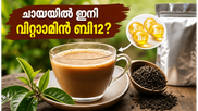 ചായയിൽ ഇനി വിറ്റാമിൻ ബി12-ഉം ഫോളേറ്റും; ഗർഭിണികൾ അറിയേണ്ട നിർണ്ണായകമായ ആരോഗ്യ മാറ്റങ്ങൾ!