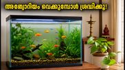 വീട്ടിൽ അക്വേറിയം വെക്കുമ്പോൾ ഈ തെറ്റുകൾ വരുത്തരുത്; വാസ്തു പ്രകാരം ഐശ്വര്യത്തിന് ശ്രദ്ധിക്കേണ്ടത്