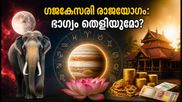 ഓഗസ്റ്റ് 5: ഗജകേസരി രാജയോഗം തെളിയുന്നു; ഈ 4 രാശിക്കാർക്ക് കരിയറിലും സാമ്പത്തിക രംഗത്തും വൻ നേട്ടം!