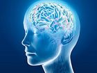 ఆక్సిజన్ లేకుండా ‘మెదడు’ జీవించగలదా...?