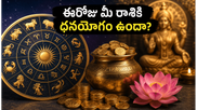 శుక్రుడి కటాక్షం.. ఈరోజు ఈ రాశుల వారికి ఊహించని ధనలాభం, కెరీర్‌లో తిరుగులేని సక్సెస్!