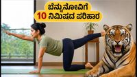 10 ನಿಮಿಷದ 'ಟೈಗರ್ ಫ್ಲೋ': ಬೆನ್ನುನೋವಿಗೆ ಮುಕ್ತಿ ನೀಡುವ ಅದ್ಭುತ ವ್ಯಾಯಾಮ ಇಲ್ಲಿದೆ!