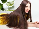Aloe Vera For Hair: চুলের নানা সমস্যা দূর করবে অ্যালভেরার হেয়ার মাস্ক! দেখে নিন কী ভাবে ব্যবহার করবেন
