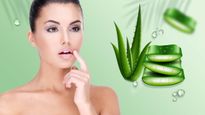 Aloe Vera for Lips: অ্যালোভেরার গুণেই ঠোঁট হবে নরম, মসৃণ! ব্যবহার করবেন কী ভাবে? দেখে নিন