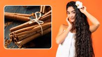 চুলের পরিচর্যায় একাই একশো দারুচিনি! কী ভাবে ব্যবহার করবেন? রইল টিপস