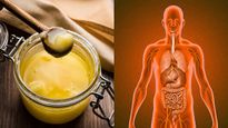 Ghee Benefits: পেটের গোলমাল থেকে নিস্তেজ ত্বক ও চুল, এক চামচ ঘিতেই কাজ হবে ম্যাজিকের মতো!