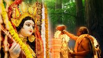 Durga Puja 2023: দেবী দুর্গার দোলায় আগমন ও গমন কীসের ইঙ্গিত দেয়?