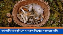বিশ্বের সবচেয়ে ব্যয়বহুল মাশরুম মাতসুটাকে!